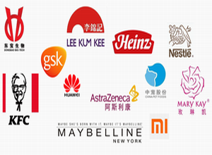Companies we work together